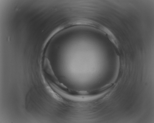 X0000082941138200702081616