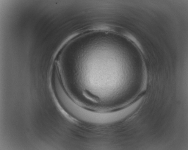 X0000082941139200702081616