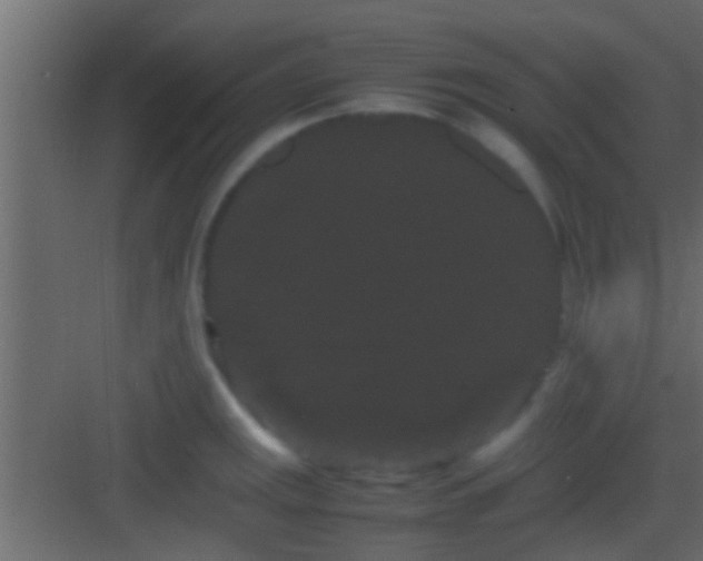 X0000082941141200702081617