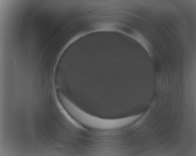 X0000082941142200702081617