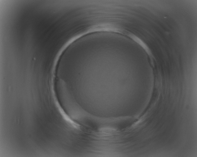 X0000082941144200702081617