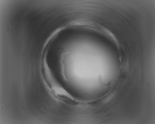 X0000082941146200702081617