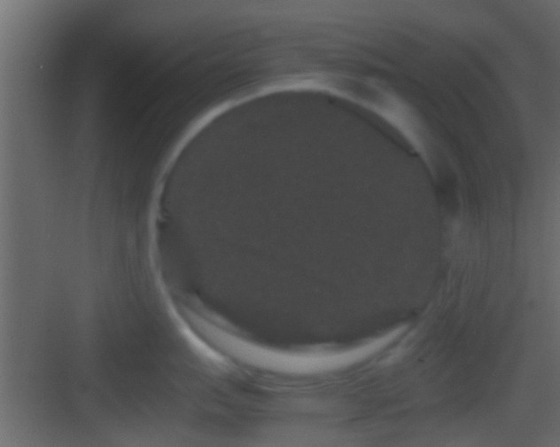 X0000082941151200702081617
