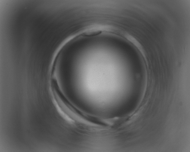 X0000082941152200702081617