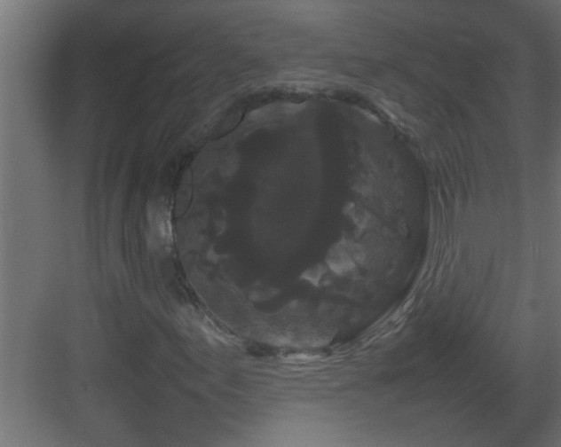 X0000082941155200702081616