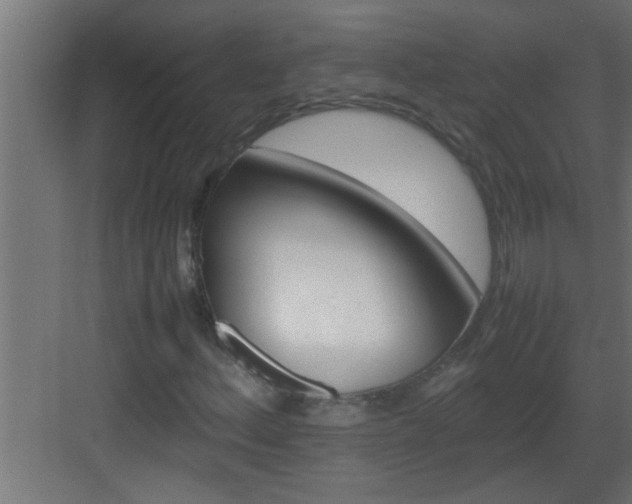 X0000082941156200702081616