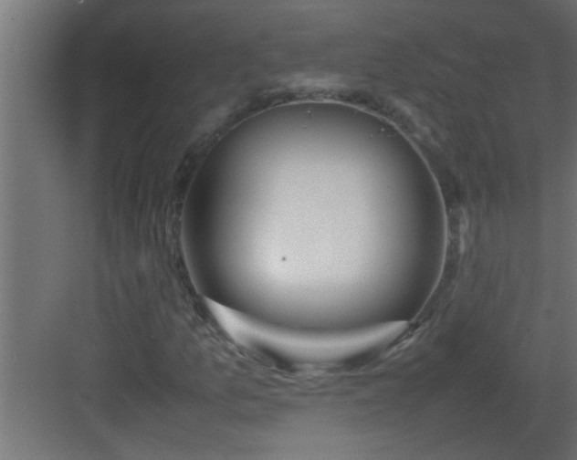 X0000082941157200702081616