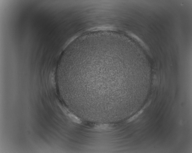 X0000082941162200702081616