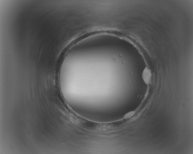 X0000082941165200702081616