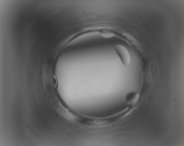 X0000082941177200702081615