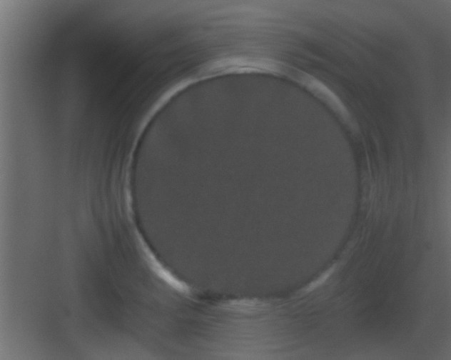 X0000082941182200702081615