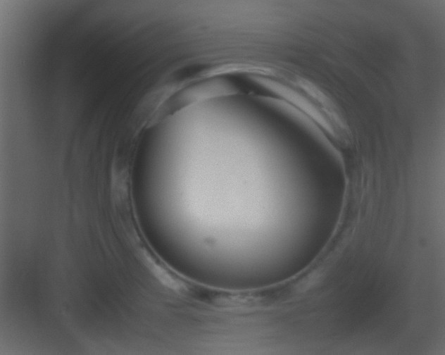 X0000082941185200702081615