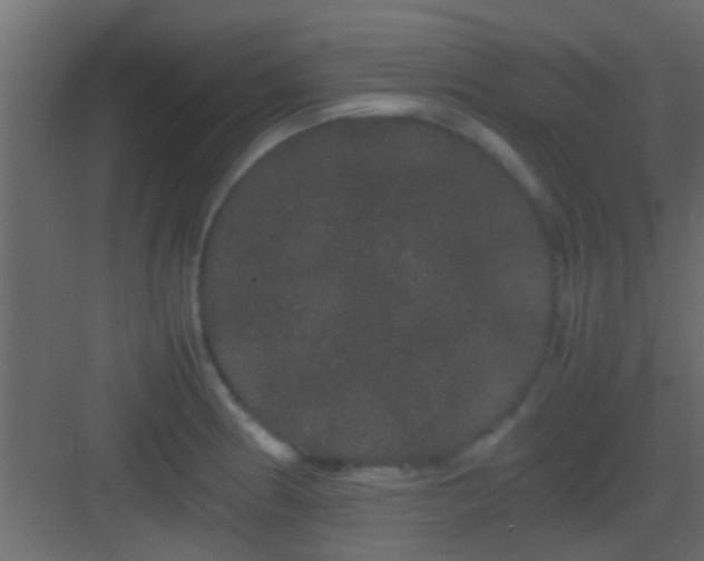 X0000082941186200702081615