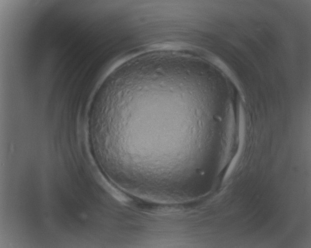 X0000082941187200702081615