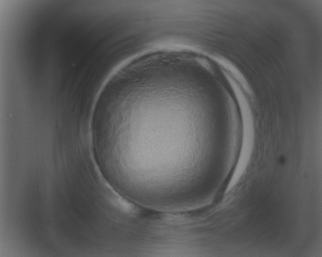 X0000082941191200702081615