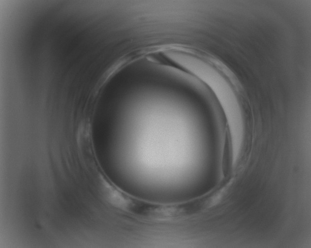 X0000082941193200702081615