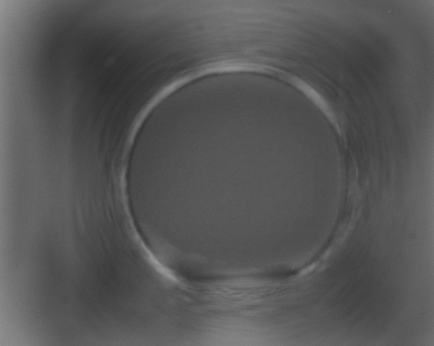 X0000082941197200702081615