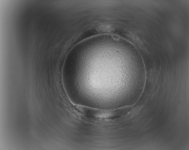X0000082941201200702081614
