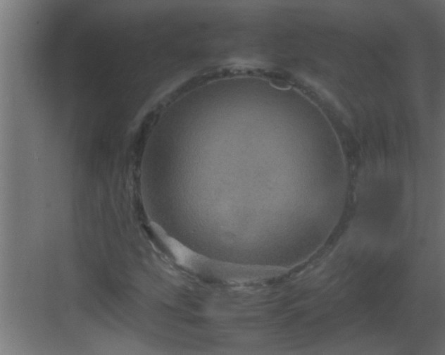X0000082941207200702081614