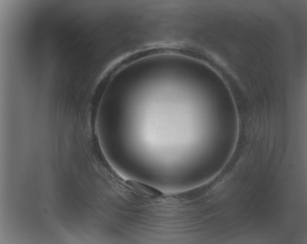 X0000082941214200702081614