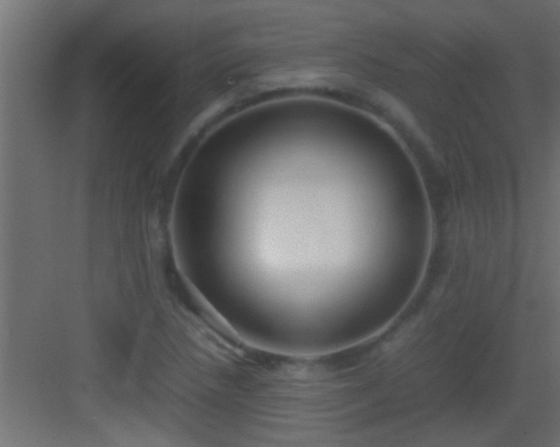 X0000082941218200702081615