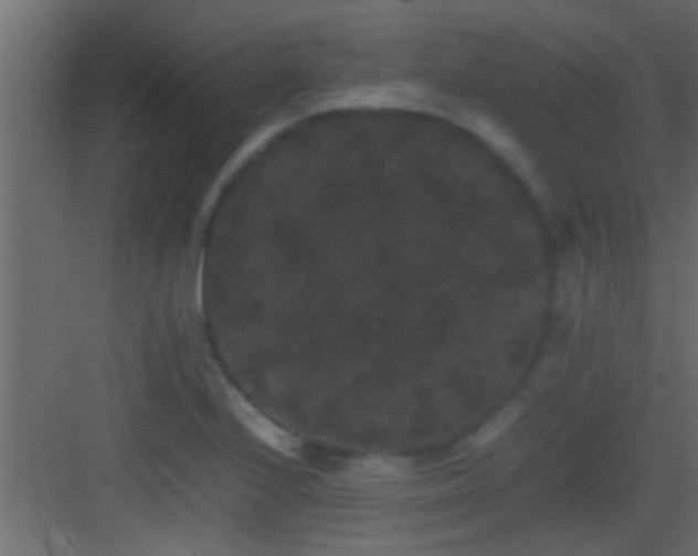 X0000082941224200702081615