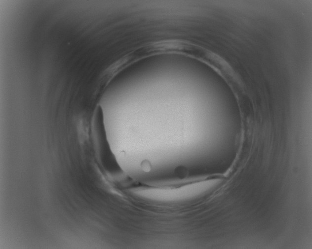 X0000082941225200702081615