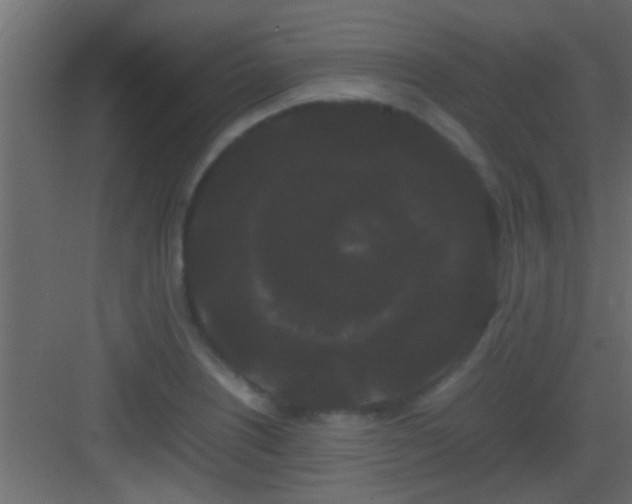 X0000082941226200702081615
