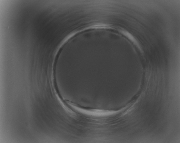 X0000082941229200702081615