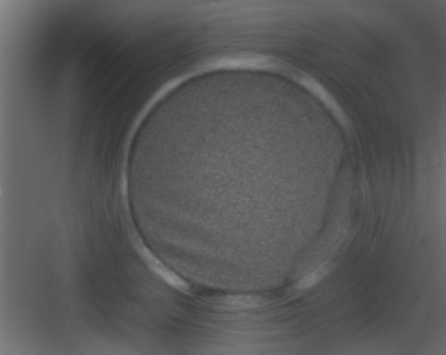 X0000082941232200702081615