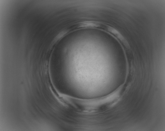 X0000082941233200702081615