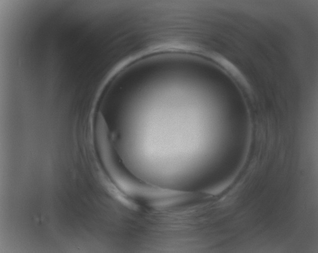 X0000082941238200702081615