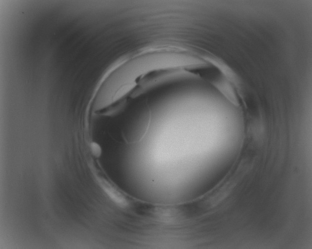 X0000082941242200702081615