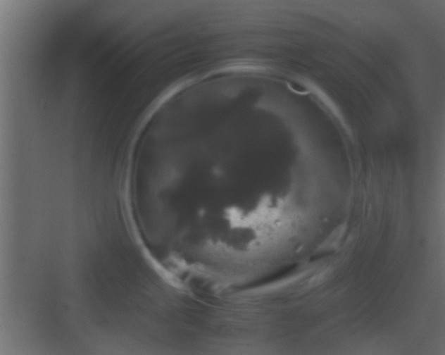 X0000082941245200702081615