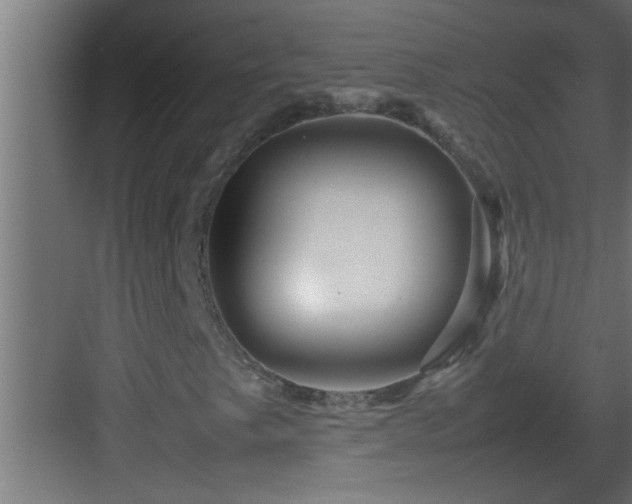 X0000082941249200702081614