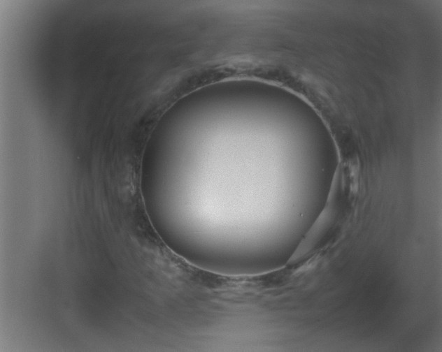 X0000082941253200702081614