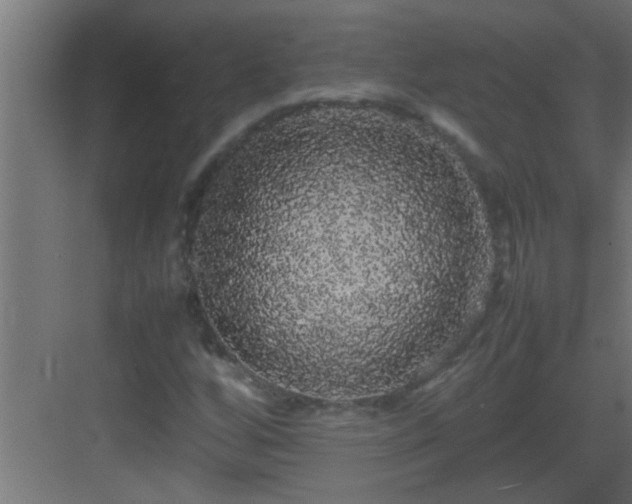 X0000082941256200702081614