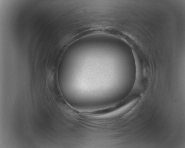 X0000082941257200702081614