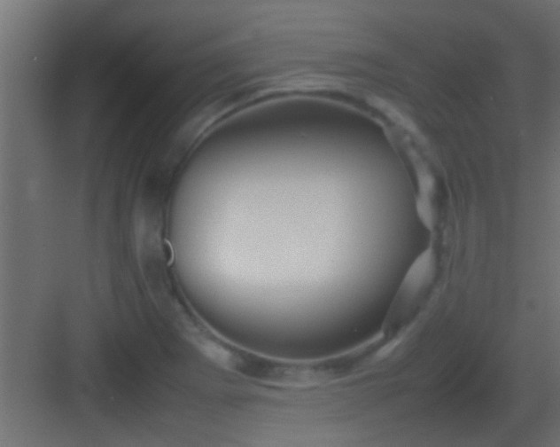 X0000082941273200702081614