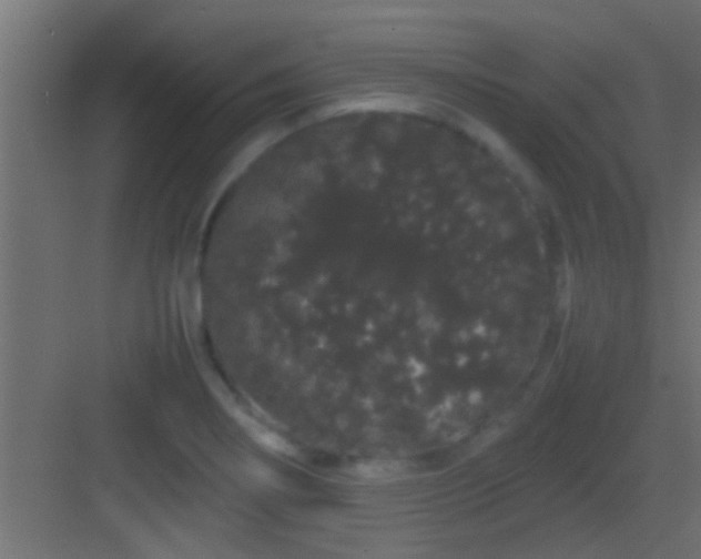 X0000082941274200702081614