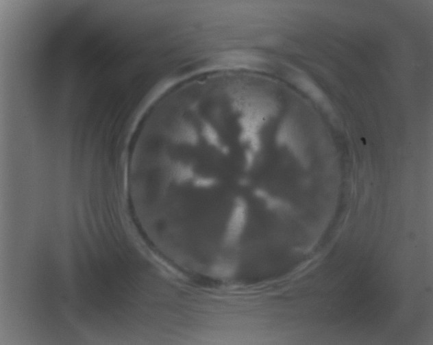 X0000082941275200702081614