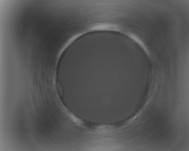 X0000082941277200702081614