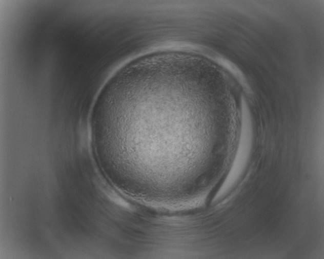 X0000082941280200702081614