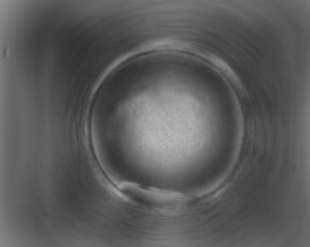 X0000082941288200702081613