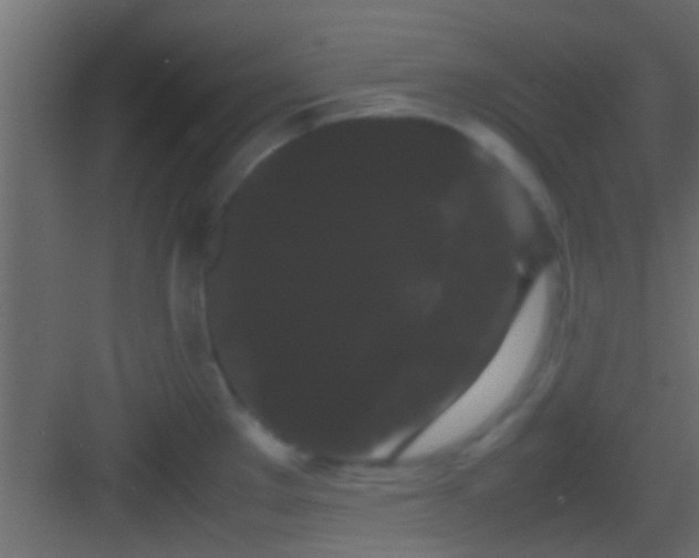 X0000082941289200702081613