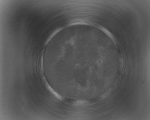 X0000082941290200702081613