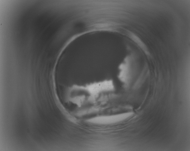 X0000082941291200702081613