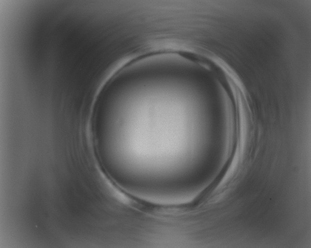 X0000082941293200702081613