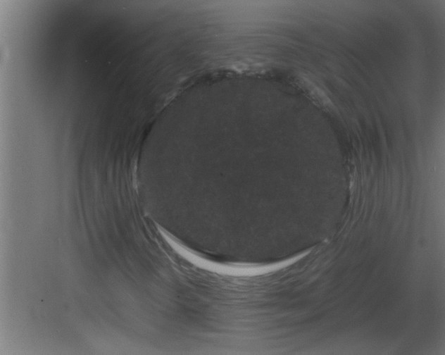 X0000082941298200702081613