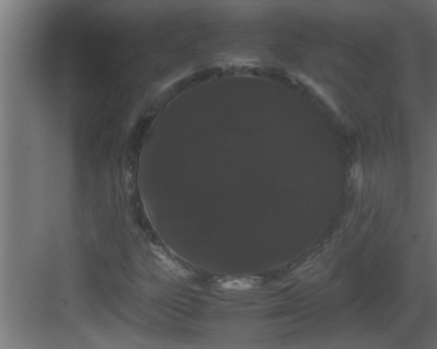 X0000082941303200702081613